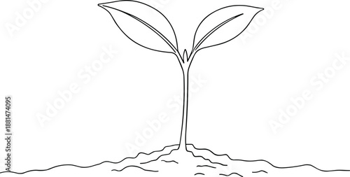 Sprouting seedling growing in fertile soil with two leaves