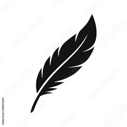 Silhouette of a single black feather on white background