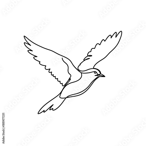 dove of peace