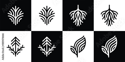 Vector Set of 4 Black and White of Abstract Organic Nature and Growth Logos