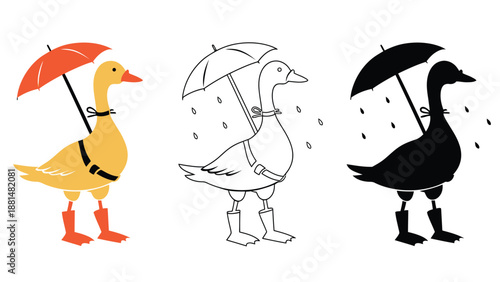 Three ducks with umbrellas and rain boots in different colors on a white background