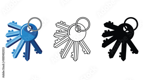 A set of colorful keys on a white background for security and access concepts