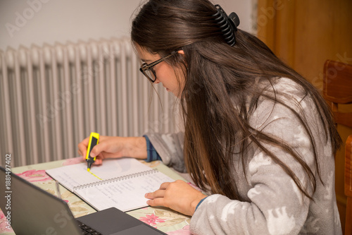 Bilde på lerret Teenage girl highlighting notebook with yellow marker while studying at home nea