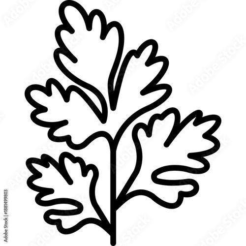 Parsley Line Icon