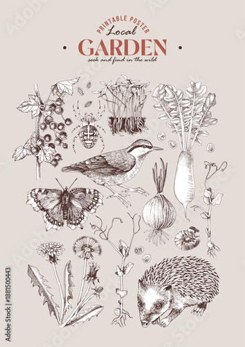 DASH diet ingredients vector. Healthy eating poster for people to stop hypertension