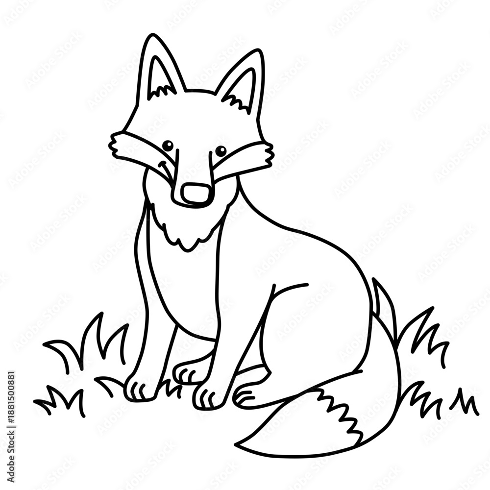 Obraz premium Fox sketch drawing