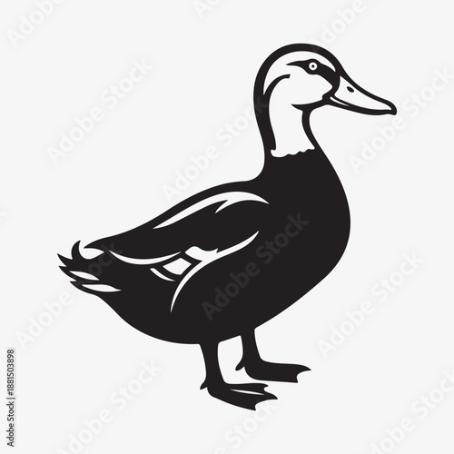 Duck silhouette