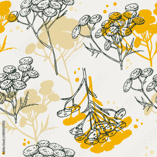 Seamless pattern of Common tansy plant