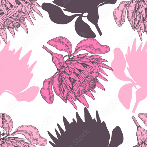 Seamless pattern of Protea flower