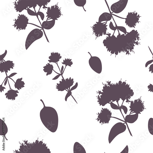 Seamless pattern of Oregano plant