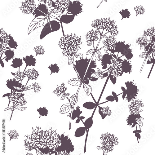 Seamless pattern of Oregano plant