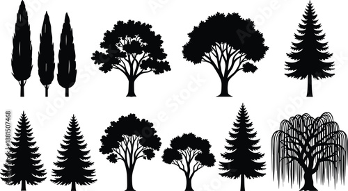 Black and white tree silhouettes collection featuring pine, oak, willow and cypress shapes, nature vector set for landscape design, forestry, and eco projects