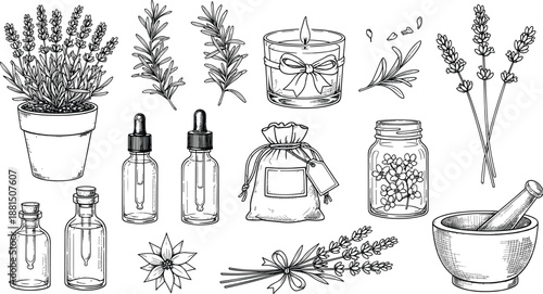 Black and white hand drawn lavender spa elements set featuring essential oil bottles, candle, herbs, mortar and pestle for wellness and aromatherapy designs