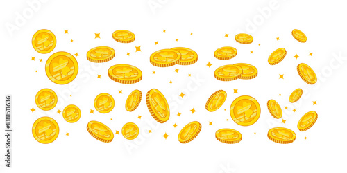 Coins St Patricks Day Decoration Set