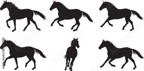 Dynamic silhouettes of running horses in various energetic poses on a clean transparent background