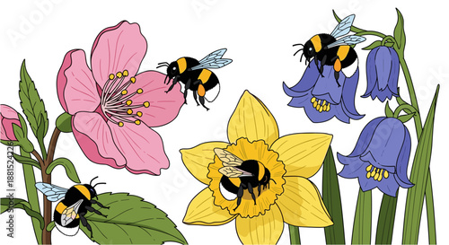 Fuzzy cartoon bumblebees actively flying and pollinating bright pink, yellow, and blue spring floral elements on a clean white background, illustrating the concept of ecological biodiversity