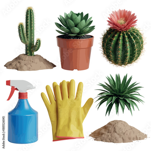 Caring for cacti and succulents with gardening essentials
