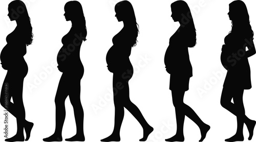Pregnant, women, silhouettes, standing, and, walking, maternity, motherhood, pregnancy, stages, female, body, profile, healthcare, prenatal, family, life, concept, isolated, white