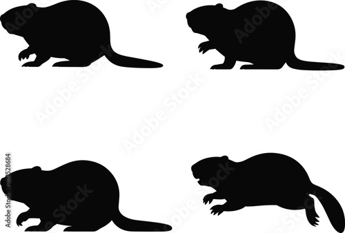 Beaver silhouette collection, wild rodent animal poses, black vector icons isolated on white background for wildlife nature design