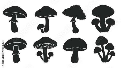 Set of black silhouettes showing various mushroom shapes and clusters with different cap styles and stem lengths for graphic design.