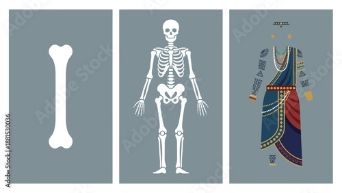 Anthropology Branches Illustration – Biological Skeleton Cultural Traditional Costume and Archaeological Bone Fossil Vector Art Set