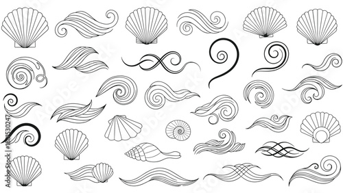 Large collection of black and white sea themed design elements including various seashells and decorative oceanic wave swirls.