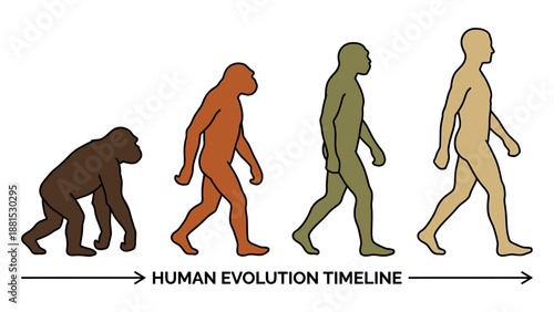 Human Evolution Timeline Illustration – From Ape to Modern Homo Sapiens Progressive Stages Vector Art