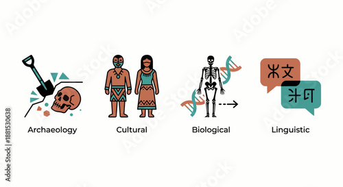 Four Branches of Anthropology Illustration – Archaeology Cultural Biological Linguistic with Icons Vector Art