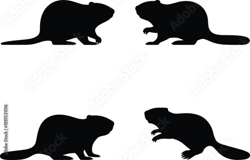 Beaver silhouette set, wild rodent animal poses, black vector icons isolated on white background illustration for nature wildlife design branding