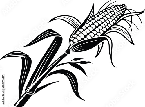 Corn Vector Icon in Isolated on White Background