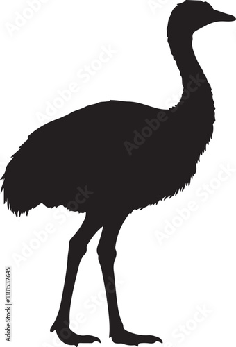 Lesser Rhea in silhouette white background.