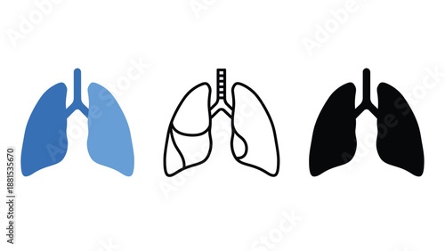 An illustration of lungs in different colors and styles on a white background