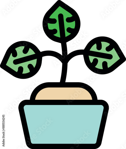 Small monstera deliciosa growing in a pot, perfect for representing botany or gardening