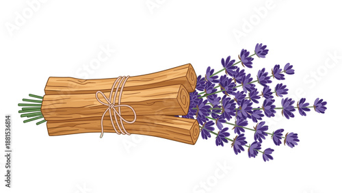 Natural bundle of aromatic palo santo wood sticks and purple lavender sprigs tied together with a simple string bow on white.