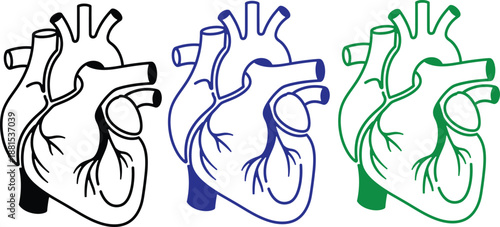 Three Stylized Human Hearts in Black, Blue, and Green Outline