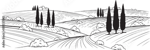Tuscan Landscape with Cypress Trees and Rolling Hills in Black and White