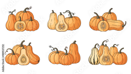 Collection of different types of orange pumpkins and squashes in clusters for autumn harvest and halloween decorations.