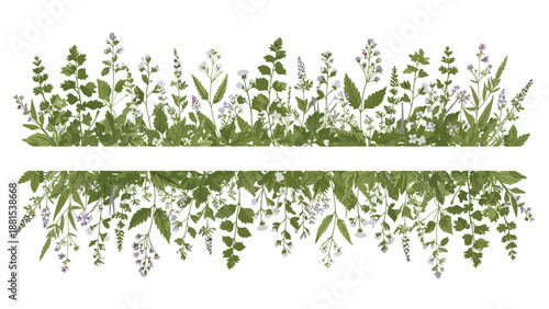 Decorative floral frame created from various green herbs and tiny white flowers arranged symmetrically with a central empty white space for text.