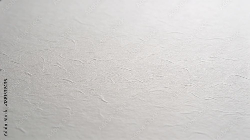 Fototapeta premium Textured Off-White Paper Background Minimalist Style