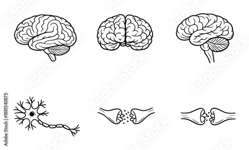 Illustrated brain designs with neuron and synapse connections on dark background