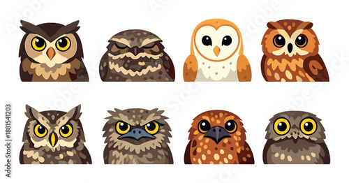 Illustrated owl icons in bright colors with varied expressions and species