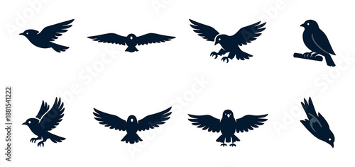 Silhouettes of owls in various flight poses on dark background