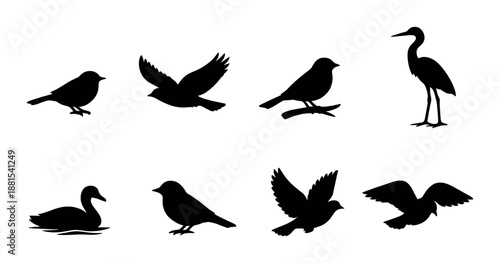 Set of bird silhouettes: sparrow, eagle, crow, heron, duck