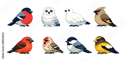 Colorful cartoon birds: owl, cardinal, sparrow, and more in stylized illustration