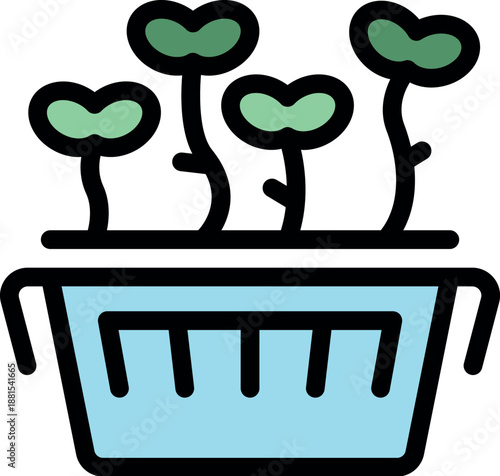 Fresh microgreens thriving in a hydroponic system, symbolizing sustainable agriculture and healthy eating