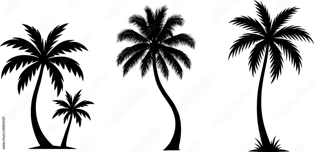 Fototapeta premium Tropical palm tree silhouette vector set isolated on white background. Black coconut tree icons for summer beach and vacation design.