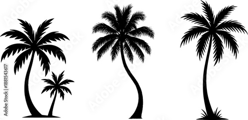 Tropical palm tree silhouette vector set isolated on white background. Black coconut tree icons for summer beach and vacation design.