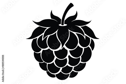 raspberry silhouette line art vector illustration