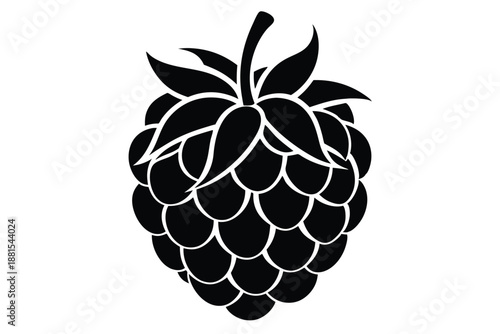 raspberry silhouette line art vector illustration