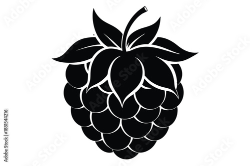 raspberry silhouette line art vector illustration